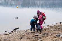 Zuřiví psíci útočí