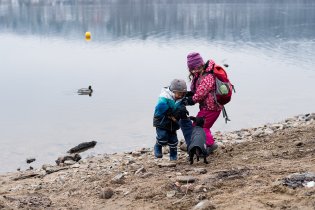 Zuřiví psíci útočí