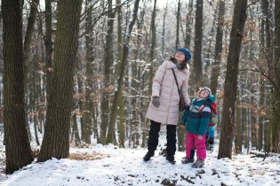 Najít strakapouda po sluchu a navíc proti sluníčku nebývá snadné