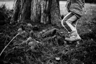 V lednickém parku mají takto strašidelné kořeny, naštěstí nebyly bludné