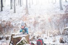 Svačiny na pařezu, ty si necháme líbit