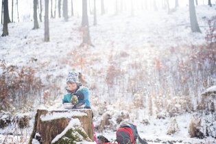 Svačiny na pařezu, ty si necháme líbit