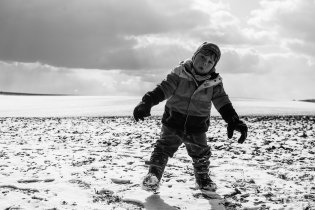 Pozor, na polích poblíž hradu Veveří se potulují medvědi