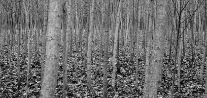 3. víkend v dubnu 2021