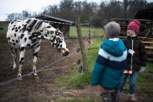 Ráďo, neutekl náhodou z pohádky o 101 dalmatinech?