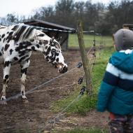 Ráďo, neutekl náhodou z pohádky o 101 dalmatinech?