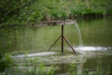 Který střeží tenhle nádherný rybník