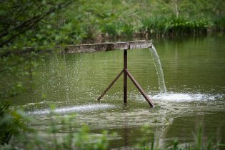 Který střeží tenhle nádherný rybník