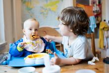 Že je krmení vděčného strávníka Vikouška uspokojující činností, na to už přišel i Radovánek