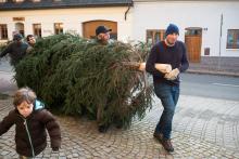 Když zjistil, jak je náš farní stromeček letos velký, dal se Ráďa raději na úprk