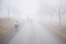 Mlha přede mnou, mlha za mnou