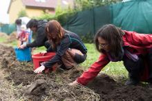 A že vína dozrálo málo, plynule jsme se  přesunuli k bramborám