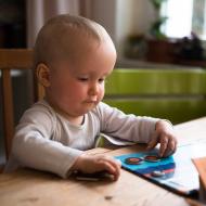 Tak auta už ho prý taky začínají zajímat