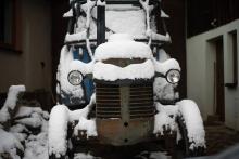 Takového krasavce jsme potkali v Synalově