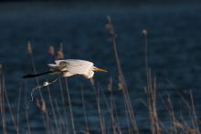 Nikdo tu dnes není, se tady na to můžu...