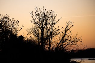 Aháá, tak dnes je večerní party tady!