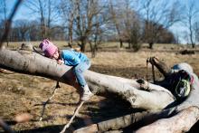 Takhle nějak spávají lenochodi