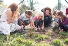 Krtku krtku vystrč růžky (aneb marné čekání u hýbající se krtiny)