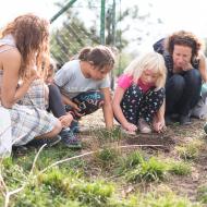Krtku krtku vystrč růžky (aneb marné čekání u hýbající se krtiny)