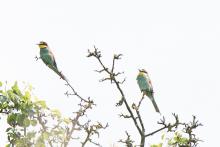 Vyrazili jsme na vlhy - a ony tam vážně byly!