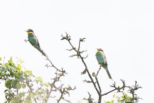 Vyrazili jsme na vlhy - a ony tam vážně byly!