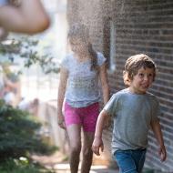 Ani letos nechyběla mlžítka