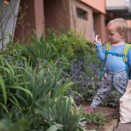 Vikoušek se kochá sousedovic zahrádkou