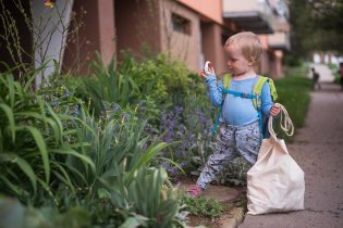 Vikoušek se kochá sousedovic zahrádkou
