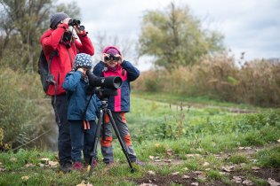 Pozoruje už (skoro) celá rodina, někteří by potřebovali krytku na druhé oko