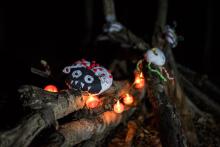 Upíří stezka v našem lese byla skutečně strašidelná