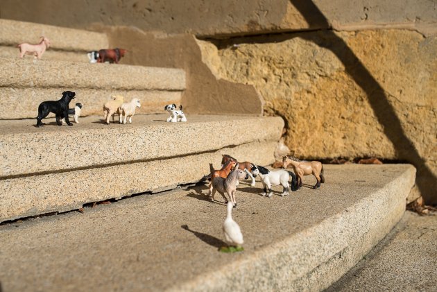 Zoologická zahrada, račte vstoupit