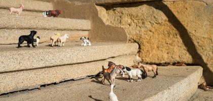 1. víkend v listopadu 2022