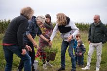 A ještě vysadit pro Marušku jeden dub