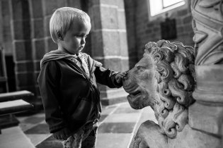 Hladit lva holou rukou je v třebíčské bazilice dovoleno
