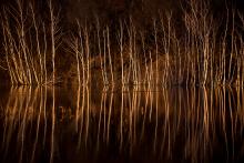 Náš oblíbený Lítožnícký rybník