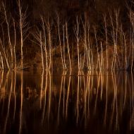 Náš oblíbený Lítožnícký rybník