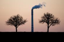 Zátiší s komínem