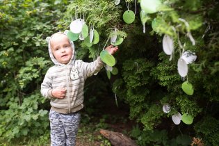 Strom přání (ale pozor, ten oficiálně pravý strom přání se nám nalézt nepodařilo a toto není on ;)