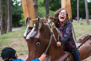 Máme rádi divoké koně