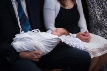 Vyrostla nová ratolest na vinném kmeni