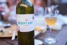 Ke slovu přišel i Bezový květ by Dudovi