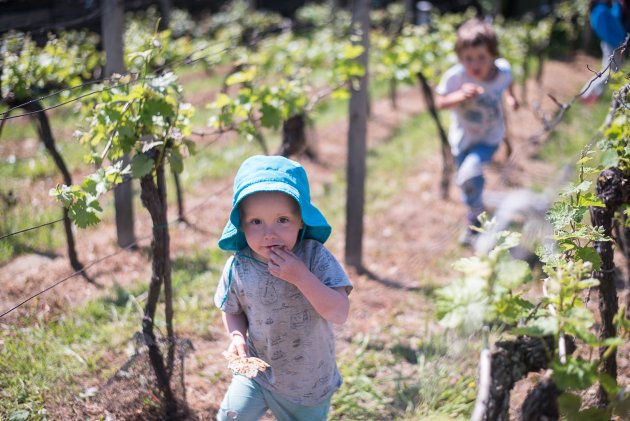 Když Jenda viděl, jak jsme se rozběhli mezi křehoučkými výhonky jeho vína, ihned nám vyrazil naproti :)