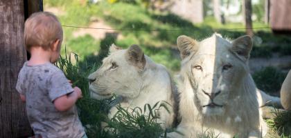 2. víkend v květnu 2022