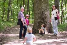 Pod dubem, za dubem...