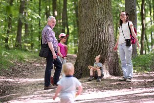 Pod dubem, za dubem...