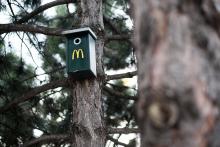 Zato jsme pak cestou do Litoměřic obdivovali McBudky