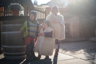 Ovečky na dvorku Café Fara