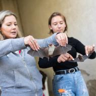 Na některé udělali při návštěvě Záchranné stanice divoké zvěře v Jinačovicích největší dojem netopýři