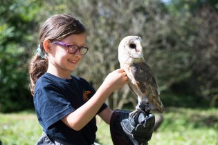 a na jiné možnost pohladit si morčátka, nebo sovu pálenou