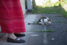 Maximální soustředění